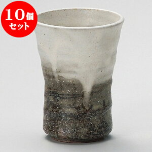 10Zbg t[Jbv D֕t[JbviMyāj [ 8 x 10.5cm 280 ] | t[Jbv ^u[ Jbv Rbv r[   bar ӎ lC  H Ɩp HX JtF 