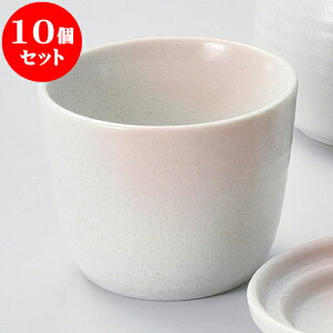 10Zbg Ηpi ڂ̂ v [ 8.5 x 6.7cm ] |    傱  ǂ  lC H Ɩp HX JtF    킢  Mtg v[