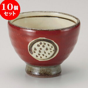 10Zbg q 銪K_䍂q [ 10.8 x 8.2cm 350cc ] |  ̂ ꕞ  ܂ lC  H Ɩp HX JtF    킢 Mtg v[g 