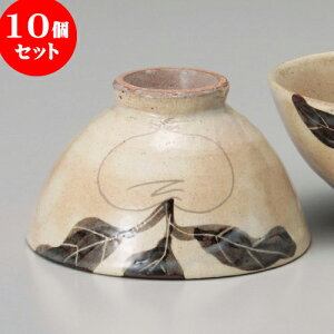 10Zbg q Ԕјq  [ 12.5 x 7cm ]   aH HX Ɩp | q  yA vw ̂  lC  H Ɩp HX JtF    킢 