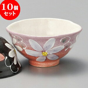 10Zbg q Ԕјq [ 11 x 5.7cm ]   aH HX Ɩp | q  yA vw ̂  lC  H Ɩp HX JtF    킢 Mtg