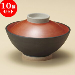 10Zbg Wt咃 hWt咃 [ 14.6 x 9.3cm ] | Ԃ  ǂԂ H Ɩp HX JtF    킢   Mtg v[g o j j