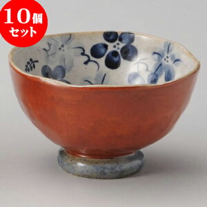 10Zbg r 邩銪Ԓ [ 10 x 6cm ]   aH HX Ɩp | q  yA vw ̂  lC  H Ɩp HX JtF    킢