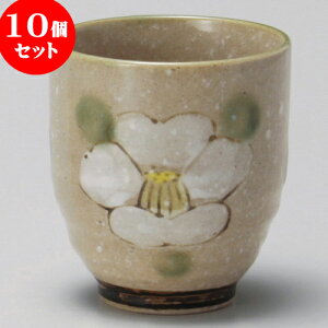 10Zbg  D΂ [ 7.5 x 8.5cm 270cc ] | ̂   ꕞ  lC  H Ɩp HX JtF    킢 Mtg v[g o a