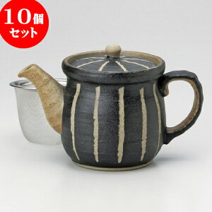 10Zbg |bg \|bgijiA~tj [ 10 x 10cm 450cc ] | |bg }{ yr g R[q[ ܂ lC  H Ɩp HX JtF    킢 Mtg