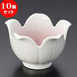 10Zbg LcĈi sNԌ^ iLcāj [ 9 x 5.7cm ] | lC  H mH Ɩp HX JtF    킢 Mtg v[g a i HZb