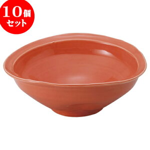 10Zbg RgXg IW7.5ό^[ [ 22 x 8cm ]| M T_ pX^ M v[g lC  H mH Ɩp HX JtF    킢 Mtg 