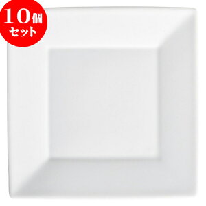 10Zbg RgXg XNGA[20cmM [ 20 x 20 x 2cm ] | lp XNGA XNGA[ pM pX^ lC  H mH Ɩp HX JtF    킢 M