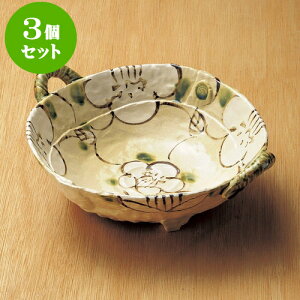 3Zbg 唫 iqԎt [ 31 x 26 x 11cm ]|  pX^M 蔫 {E 傫  H Ɩp HX JtF   Mtg v[g j j a 蕨 i 