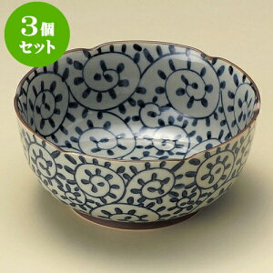 3Zbg O^R[iLcāj [ 13.2 x 5.8cm ] |     {E \ lC  H Ɩp HX JtF    킢 Mtg v[gj 