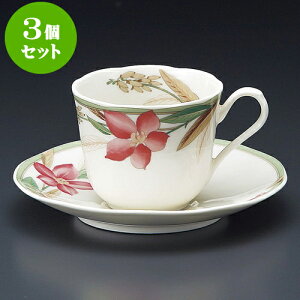 3Zbg R[q[ }h[kNBR[q[qM [ 8 x 6.6cm 210cc E 14.7 x 2cm ] | lC  H mH Ɩp HX JtF    킢 Mtg v[g a i H