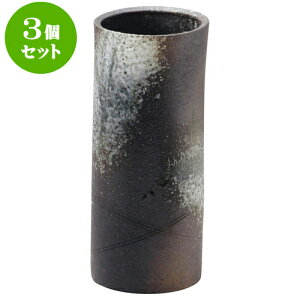 3Zbg ԕr Myό`9.5ԓiMyāj [ 11.5 x 29cm ] | ԕr Ԋ ԗ CeA т ԓ Ɩp HX JtF    킢 Mtg v[g o a 