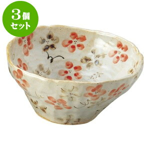 3Zbg aI[v ̉ ij [ 16 x 7cm ] | lC  H mH Ɩp HX JtF    킢 Mtg v[g a i HZbg HZ