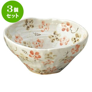 3Zbg aI[v ̉ ij [ 18.5 x 8cm ] | lC  H mH Ɩp HX JtF    킢 Mtg v[g a i HZbg H