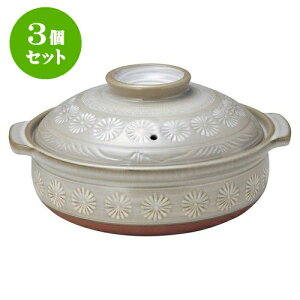 3Zbg yI[v O 9[i΁j [ 31 x 28 x 16cm E  10cm ] | lC  H mH Ɩp HX JtF    킢 Mtg v[g a 