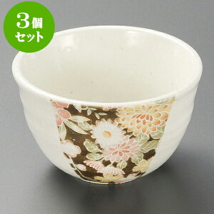 3Zbg FT [ 10.5 x 6.2cm ] |     {E \ lC  H Ɩp HX JtF    킢 Mtg v[gj j a 