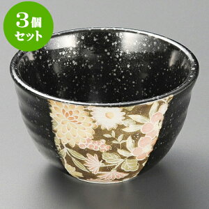 3Zbg FT [ 10.5 x 6.2cm ] |     {E \ lC  H Ɩp HX JtF    킢 Mtg v[gj j a 