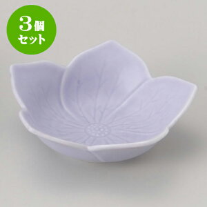 3Zbgԓ j[ 󔫏 [ 10 x 3.2cm ] | ٓ  M m lC  H Ɩp HX JtF    킢 Mtg v[g o a 蕨 i