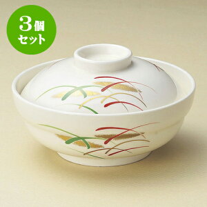 3ZbgW 싞`W [ 14.3 x 7.8cm ] | ϕ   B q lC  H Ɩp HX JtF    킢 Mtg v[g o a 蕨 