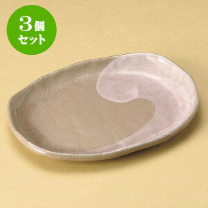 3Zbgȉ~M ʂsN\M [ 27.8 x 20.7 x 3cm ] | I[ov[g ȉ~M lC  pX^M t[cM H Ɩp HX JtF    킢 Mtg v[