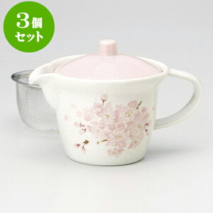 3Zbg|bg Ԃ񂴂|bgiA~tj [ 10.5 x 16 x 10cm 300cc ] | |bg }{ yr g R[q[ ܂ lC  H Ɩp HX JtF    킢 Mtg 