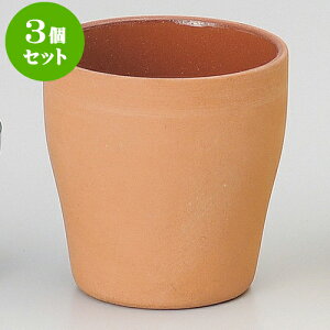 3ZbgXt ԓyXJbv [ 6 x 6.5cm 120cc ] | Xt P[L mَq  َq lC  H mH Ɩp HX JtF    킢 Mtg v[g 