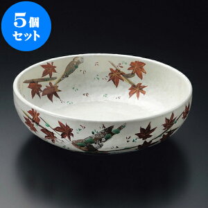 5Zbg 唫 _8.0 [ 24.7 x 7.8cm ]|  pX^M 蔫 {E 傫  H Ɩp HX JtF   Mtg v[g j j a 蕨 i  