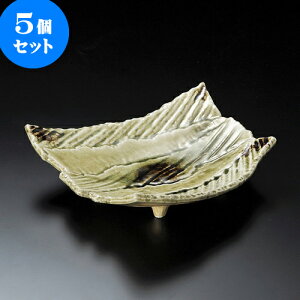 5Zbg 唫 r[hό`8.5 [ 26 x 24 x 7.5cm ]|  pX^M 蔫 {E 傫  H Ɩp HX JtF   Mtg v[g j j a 蕨 i