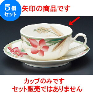 5Zbg R[q[ }h[kNBgq [ 9 x 5cm 210cc ] | lC  H mH Ɩp HX JtF    킢 Mtg v[g a i HZbg HZb