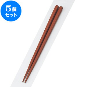 5Zbg PBT PBTZpؖڔ22cm | ͂   lC H Ɩp HX JtF  킢   Mtg v[g o j j a 蕨 