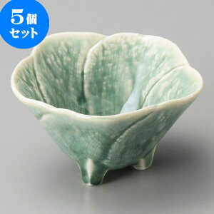 5Zbg Ԍ^O[Oct [ 7.7 x 4.8cm ] |  t  M Е 򖡓  lC H Ɩp HX JtF    킢   Mtg v