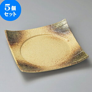 5Zbg pM ɉꕗD7.5lM [ 22.7 x 22.7 x 4.8cm ] | p pM XNGA H Ɩp HX JtF    킢 Mtg v[g o j j a 