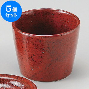 5Zbg Ηpi gMqΐ [ 8.4 x 6.5cm 120cc ] |    傱  ǂ  lC H Ɩp HX JtF    킢  Mtg v[