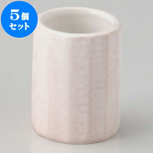 5Zbg JX^[Zbg k} [ 4 x 4 x 5cm ] | JX^[Zbg   򖡓  Lb` 䏊 v[g Mtg j o j JXj ސEj 