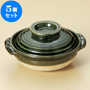 5Zbg  D5i݌Ïāj [ 17 x 15 x 9cm g5.2cm ] | y  1lp 1l ~j CX^  قق lC  H Ɩp HX JtF    킢