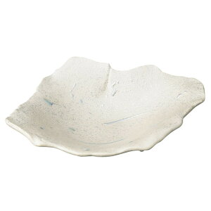 ͈꒿Htt [ 24 x 19.5 x 5.2cm 491g ] | aH   {E   ze H Ɩp HX JtF    킢 Mtg v[g j a 蕨 i 