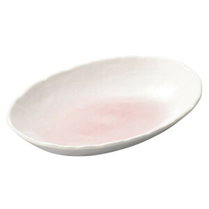 sNJ[M [ 26.5 x 18 x 4cm ] [ ȉ~M ] | I[ov[g ȉ~M lC  pX^M t[cM H Ɩp HX JtF    킢 Mtg v[g a