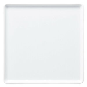 25cmpP[Lv[g [ 25.3 x 1.5cm 840g ] [ fJEFA ] | HX ze Xg JtF Ɩp | fU[g M P[L ACX َq lC  H mH Ɩp HX JtF 