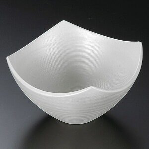  p[lM [ 13 x 7.5cm ] |     {E \ lC  H Ɩp HX JtF    킢 Mtg v[gj j a 蕨 