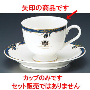 �R�[�q�[ �T�t�@�C�A����R�[�q�[�q [ 200cc ] �y���� ���� �a�H�� ���H�X �Ɩ��p�z