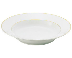 �m���I�[�v�� �j���[�S�[���h���C�� 24cm�����X�[�v [ 24 x 4.3cm ] �y���� ���� �a�H�� ���H�X �Ɩ��p�z