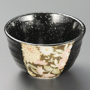  FT [ 10.5 x 6.2cm ] |     {E \ lC  H Ɩp HX JtF    킢 Mtg v[gj j a 蕨 
