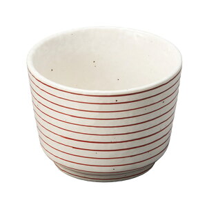 E Zΐv [8.4×6.2cmE175cc] | H aH Ɩp  v[g Mtg  킢 j JX H Zbg     