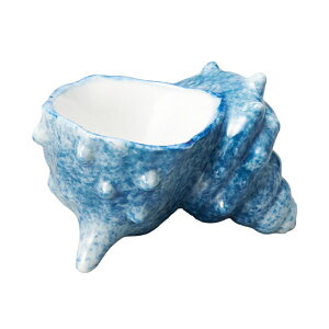   [7.5×4.3cm] | SNS CX^f  킢  JtF aJtF JtF  H Ɩp  v[g Mtg Vv _ j Zbg