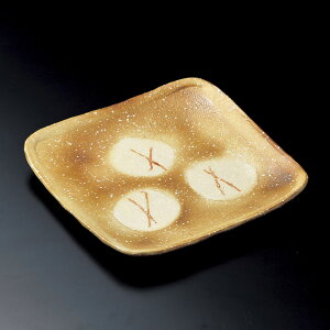 pM āY΃_XL10.0pMiMyāj [ 30 x 30 x 3.5cm ] | p pM XNGA H Ɩp HX JtF    킢 Mtg v[g o j j a 蕨 