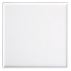 RgXg 25cmpM [ 25.3 x 25.3 x 1.1cm ] | lp XNGA XNGA[ pM pX^ lC  H mH Ɩp HX JtF    킢 Mtg v[g 