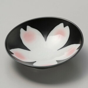  t  ֍ԃX[vt [ 16 x 15.6 x 5cm ] | aH   {E   ze H Ɩp HX JtF    킢 Mtg v[g j a 蕨 