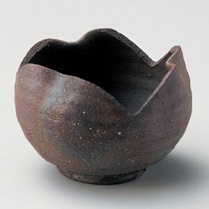    YqϊR [ 10.5 x 8cm ] |     {E \ lC  H Ɩp HX JtF    킢 Mtg v[gj j a