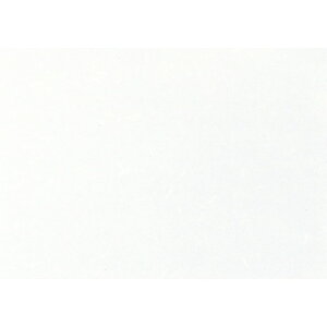  ~  Rs[paCT-01M  A4(}CN~V) 100 [ 210 x 297mm ] | `}bg ΃}bg   lC H Ɩp HX JtF    킢 