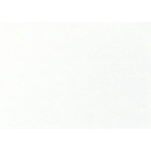  ~  Rs[paCT-13  B4 (~Vږ) 100 [ 257 x 364mm ] | `}bg ΃}bg   lC H Ɩp HX JtF    킢  